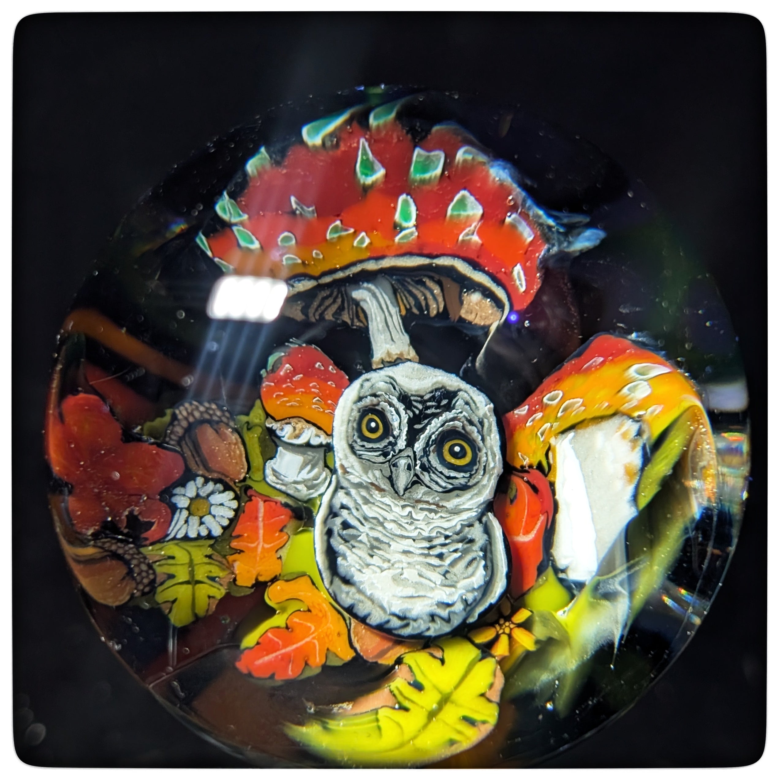Ghost Bears and Owls